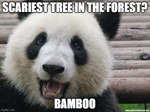 Scary | SCARIEST TREE IN THE FOREST? BAMBOO | image tagged in happy panda | made w/ Imgflip meme maker