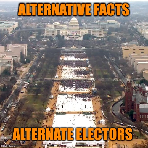 Must suffer from Trump Defender Syndrome if you can't see a pattern | ALTERNATIVE FACTS; ALTERNATE ELECTORS | image tagged in trump crowd | made w/ Imgflip meme maker