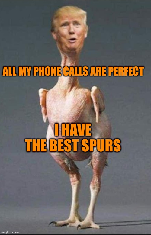 Capt. Bone Spurs | ALL MY PHONE CALLS ARE PERFECT; I HAVE THE BEST SPURS | image tagged in trump chicken | made w/ Imgflip meme maker