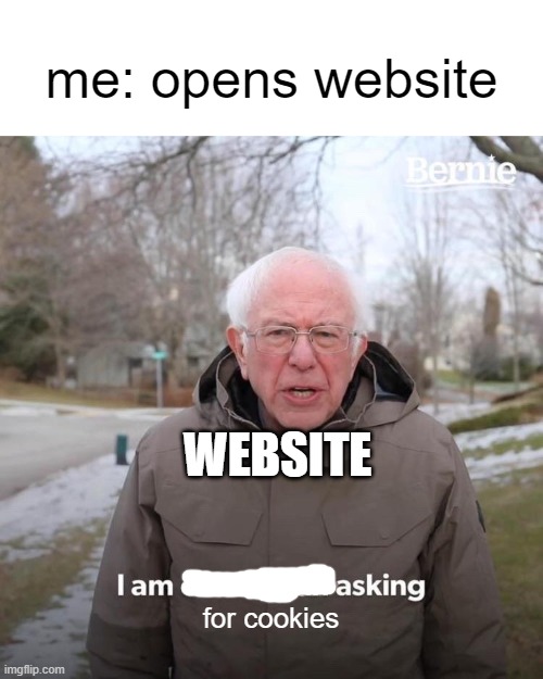 web | me: opens website; WEBSITE; for cookies | image tagged in memes,bernie i am once again asking for your support | made w/ Imgflip meme maker