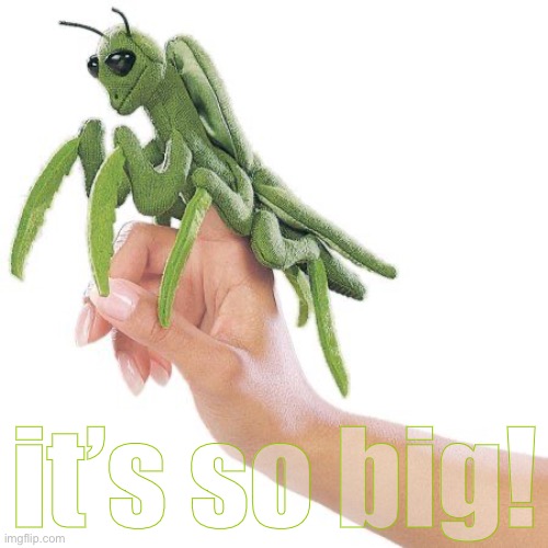 it’s so big! | made w/ Imgflip meme maker