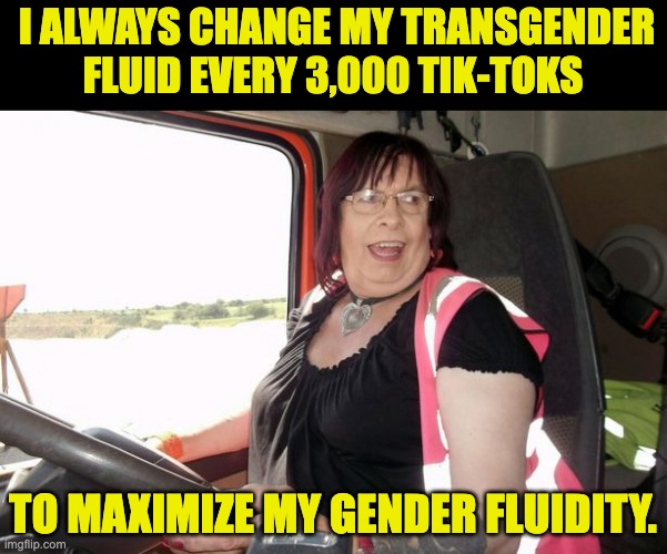 Makes as much sense as the gibberish that I hear regularly from pseudo-intellectuals. | I ALWAYS CHANGE MY TRANSGENDER FLUID EVERY 3,000 TIK-TOKS; TO MAXIMIZE MY GENDER FLUIDITY. | image tagged in transgender | made w/ Imgflip meme maker