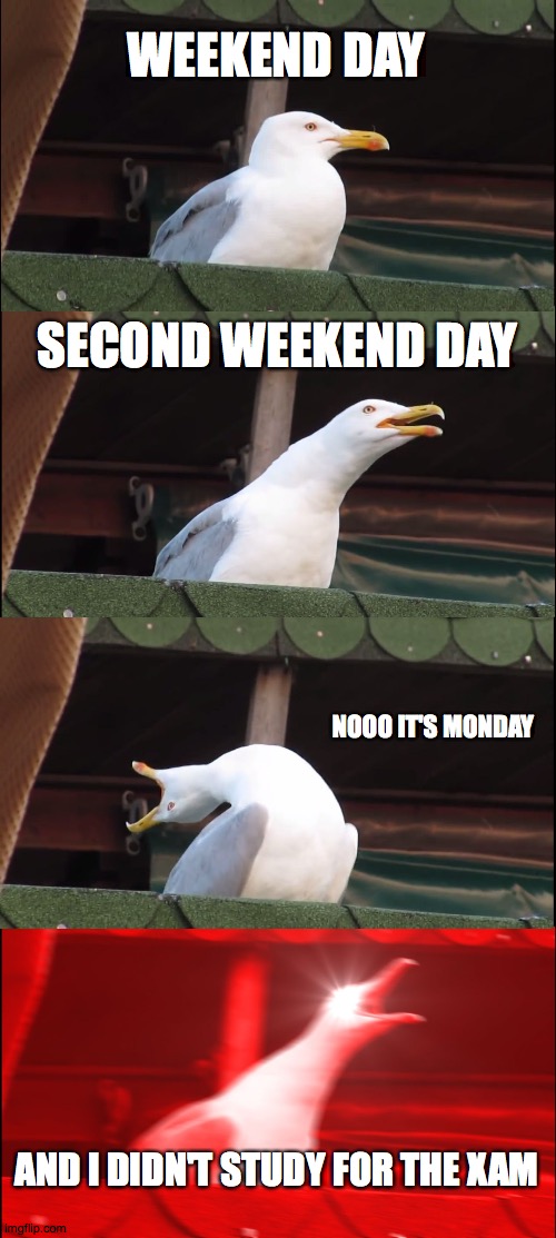 Funny how we don't use our free time wisely | WEEKEND DAY; SECOND WEEKEND DAY; NOOO IT'S MONDAY; AND I DIDN'T STUDY FOR THE XAM | image tagged in memes,inhaling seagull | made w/ Imgflip meme maker