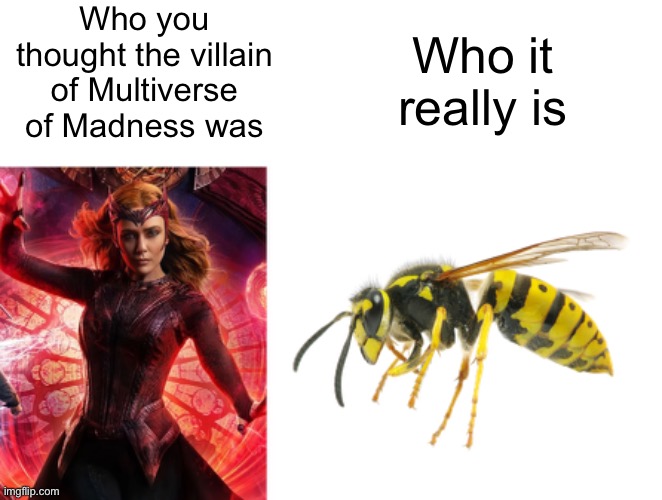 Screw wasps! All my homies hate wasps! | Who you thought the villain of Multiverse of Madness was; Who it really is | image tagged in dr strange,multiverse,wanda,marvel cinematic universe,wasp | made w/ Imgflip meme maker