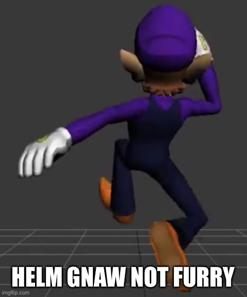 Waluigi Running | HELM GNAW NOT FURRY | image tagged in waluigi running | made w/ Imgflip meme maker