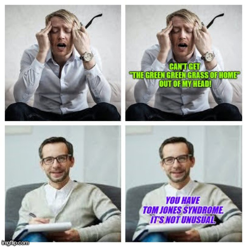 Counselor and Client Interchange | image tagged in therapist,worried,irony,pun,grass | made w/ Imgflip meme maker