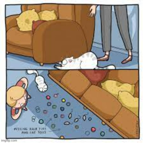 A Cat's Way Of Thinking | image tagged in memes,comics,cats,gotta catch em all,cat,toys | made w/ Imgflip meme maker