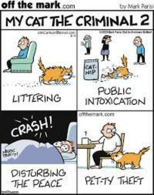image tagged in memes,comics,cats,criminal,acting,part 2 | made w/ Imgflip meme maker