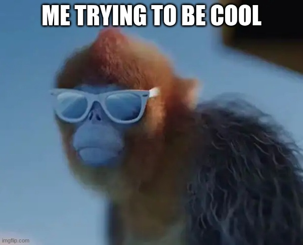 look at that | ME TRYING TO BE COOL | image tagged in monkey | made w/ Imgflip meme maker