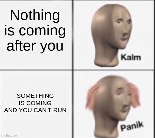 kalm panick | Nothing is coming after you SOMETHING IS COMING AND YOU CAN'T RUN | image tagged in kalm panick | made w/ Imgflip meme maker