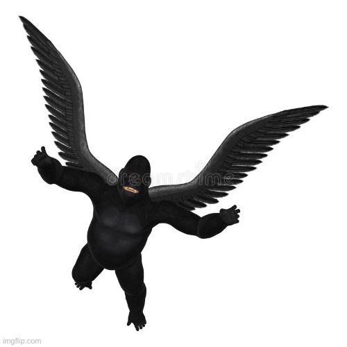 J | image tagged in flying gorilla | made w/ Imgflip meme maker