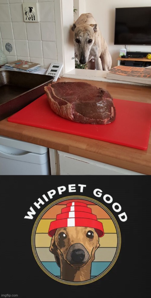 Whip it real good | image tagged in funny memes,funny dog memes,whippets,devo | made w/ Imgflip meme maker