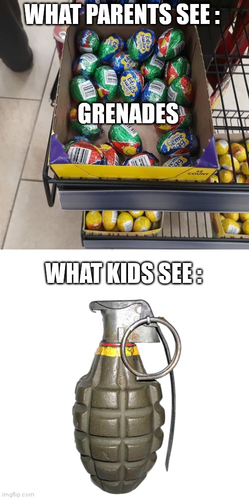 cadbury | WHAT PARENTS SEE :; GRENADES; WHAT KIDS SEE : | image tagged in cadbury | made w/ Imgflip meme maker