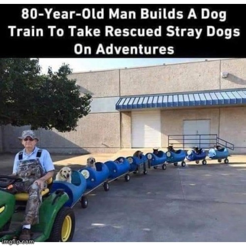 Take the train | image tagged in funny,train,dog | made w/ Imgflip meme maker