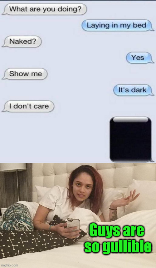 Guys are 
so gullible | image tagged in everyone,funny texts | made w/ Imgflip meme maker