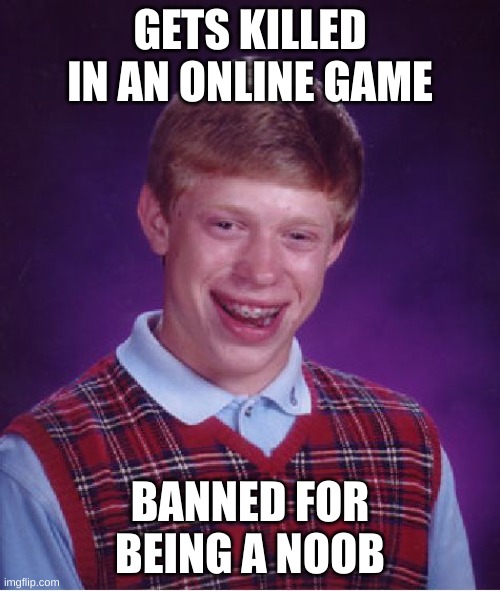 Hopefully that won't happen | GETS KILLED IN AN ONLINE GAME; BANNED FOR BEING A NOOB | image tagged in memes,bad luck brian | made w/ Imgflip meme maker