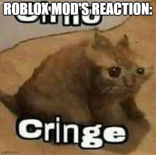 oH nO cRInGe | ROBLOX MOD'S REACTION: | image tagged in oh no cringe | made w/ Imgflip meme maker