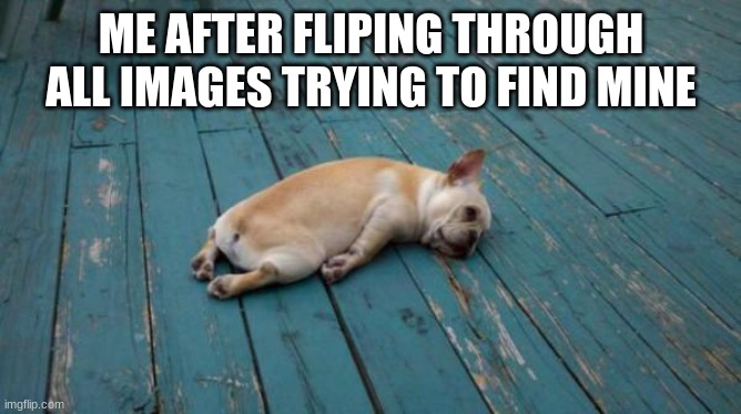 Never found | ME AFTER FLIPING THROUGH ALL IMAGES TRYING TO FIND MINE | image tagged in tired dog | made w/ Imgflip meme maker