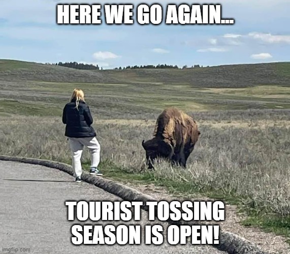 Funny truths | HERE WE GO AGAIN... TOURIST TOSSING SEASON IS OPEN! | image tagged in dumbass | made w/ Imgflip meme maker