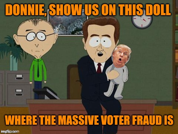 Is there voter fraud in the room with us now diaper donnie? | DONNIE, SHOW US ON THIS DOLL; WHERE THE MASSIVE VOTER FRAUD IS | image tagged in donald trump | made w/ Imgflip meme maker