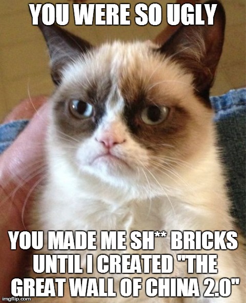 You were so ugly... | YOU WERE SO UGLY YOU MADE ME SH** BRICKS UNTIL I CREATED "THE GREAT WALL OF CHINA 2.0" | image tagged in memes,grumpy cat | made w/ Imgflip meme maker