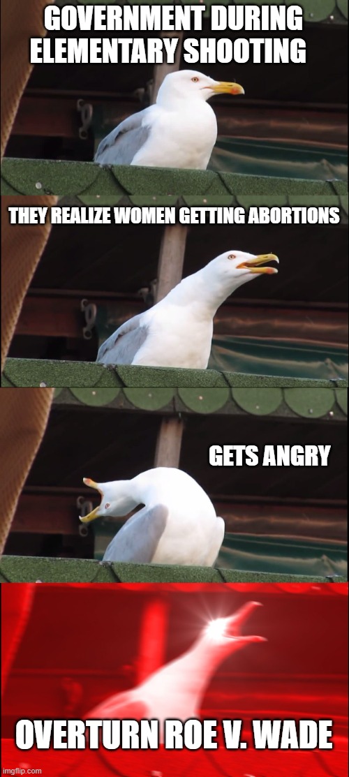 America's government | GOVERNMENT DURING ELEMENTARY SHOOTING; THEY REALIZE WOMEN GETTING ABORTIONS; GETS ANGRY; OVERTURN ROE V. WADE | image tagged in memes,inhaling seagull | made w/ Imgflip meme maker