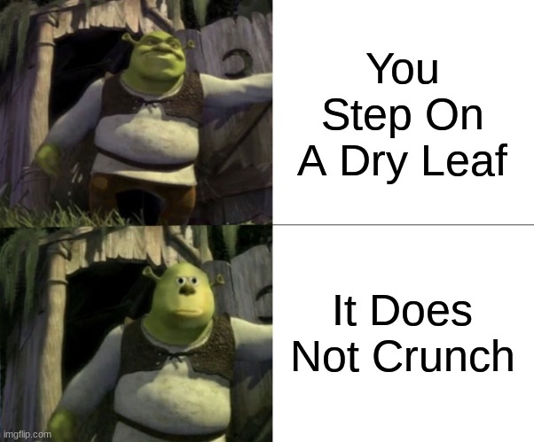 Shocked Shrek Face Swap | You Step On A Dry Leaf; It Does Not Crunch | image tagged in shocked shrek face swap,crunchy | made w/ Imgflip meme maker
