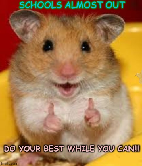Hamster School Track Out HAMPT | SCHOOLS ALMOST OUT; DO YOUR BEST WHILE YOU CAN!!! | image tagged in cute,school,thumbs up,hamster | made w/ Imgflip meme maker