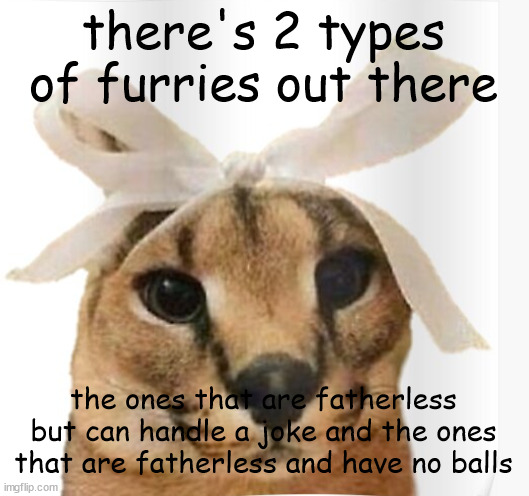 Miss Floppa | there's 2 types of furries out there; the ones that are fatherless but can handle a joke and the ones that are fatherless and have no balls | image tagged in miss floppa | made w/ Imgflip meme maker