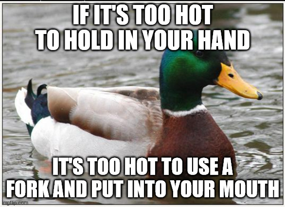 Actual Advice Mallard |  IF IT'S TOO HOT TO HOLD IN YOUR HAND; IT'S TOO HOT TO USE A FORK AND PUT INTO YOUR MOUTH | image tagged in memes,actual advice mallard,AdviceAnimals | made w/ Imgflip meme maker