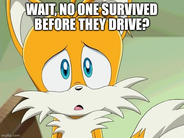 WAIT, NO ONE SURVIVED BEFORE THEY DRIVE? | made w/ Imgflip meme maker