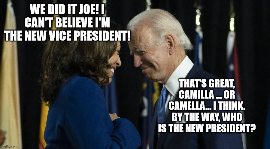 joe and kamala | WE DID IT JOE! I CAN'T BELIEVE I'M THE NEW VICE PRESIDENT! THAT'S GREAT, CAMILLA ... OR CAMELLA... I THINK. BY THE WAY, WHO IS THE NEW PRESI | image tagged in joe and kamala | made w/ Imgflip meme maker