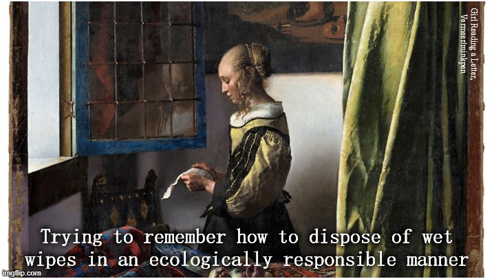 Wet Wipes | Girl Reading a Letter,
Vermeer/minkpen; Trying to remember how to dispose of wet
wipes in an ecologically responsible manner | image tagged in art memes,baroque,vermeer,wet wipes,environmentally friendly,green arrow | made w/ Imgflip meme maker