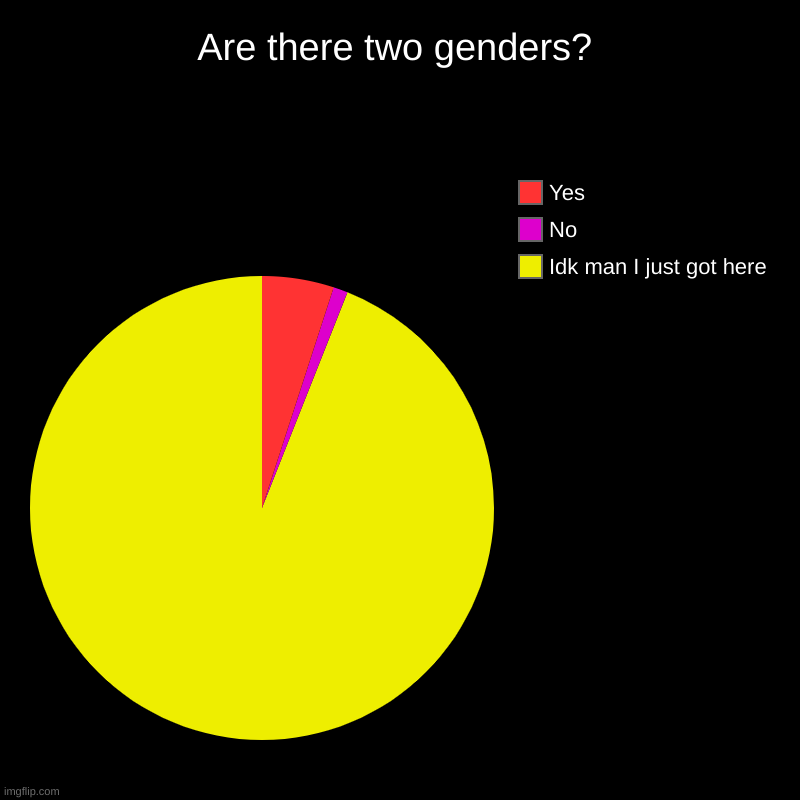 I love democracy | Are there two genders? | Idk man I just got here, No, Yes | image tagged in charts,pie charts | made w/ Imgflip chart maker