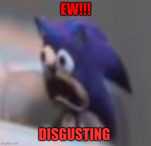 Traumatised Sonic | EW!!! DISGUSTING | image tagged in traumatised sonic | made w/ Imgflip meme maker