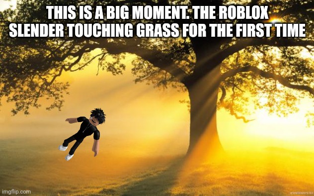 Roblox slender |  THIS IS A BIG MOMENT. THE ROBLOX SLENDER TOUCHING GRASS FOR THE FIRST TIME | image tagged in nature,roblox | made w/ Imgflip meme maker