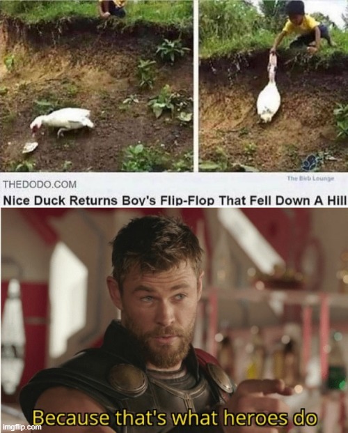 respects ducks | image tagged in that s what heroes do | made w/ Imgflip meme maker