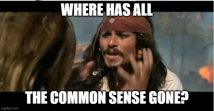 Why Is The Rum Gone Meme | WHERE HAS ALL THE COMMON SENSE GONE? | image tagged in memes,why is the rum gone | made w/ Imgflip meme maker