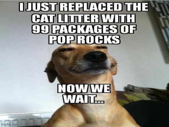 oof | image tagged in doggy | made w/ Imgflip meme maker