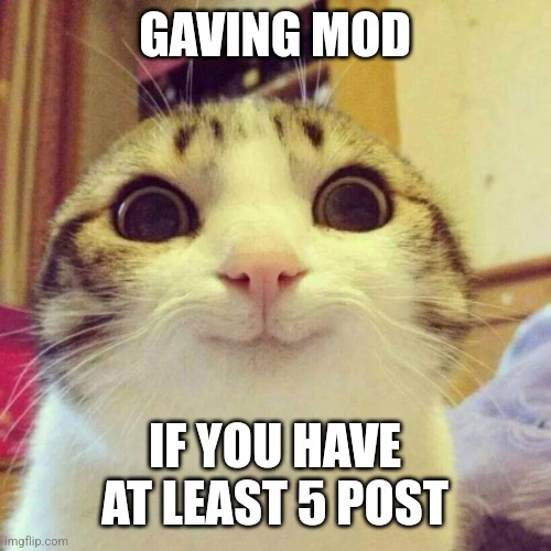 Q | GAVING MOD; IF YOU HAVE AT LEAST 5 POST | image tagged in memes,smiling cat | made w/ Imgflip meme maker