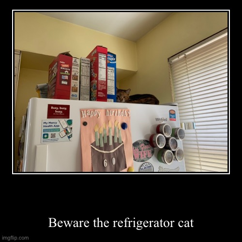 Refrigerator Cat | image tagged in funny,demotivationals | made w/ Imgflip demotivational maker