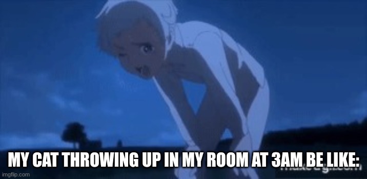 My cat at 3am | MY CAT THROWING UP IN MY ROOM AT 3AM BE LIKE: | image tagged in the promised neverland,memes,cat | made w/ Imgflip meme maker