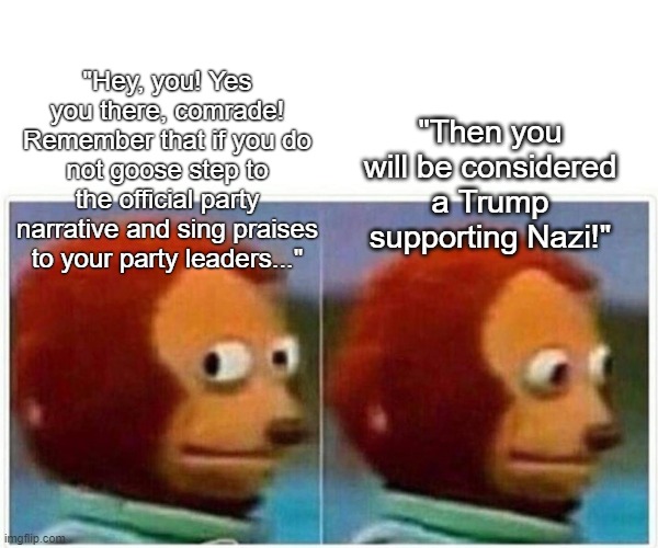 Monkey Puppet | "Then you will be considered a Trump supporting Nazi!"; "Hey, you! Yes you there, comrade! Remember that if you do not goose step to the official party narrative and sing praises to your party leaders..." | image tagged in memes,monkey puppet | made w/ Imgflip meme maker
