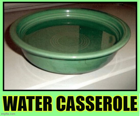 What Louisiana People think the rest of the world eats | WATER CASSEROLE | image tagged in vince vance,memes,water,casserole,plain,food | made w/ Imgflip meme maker