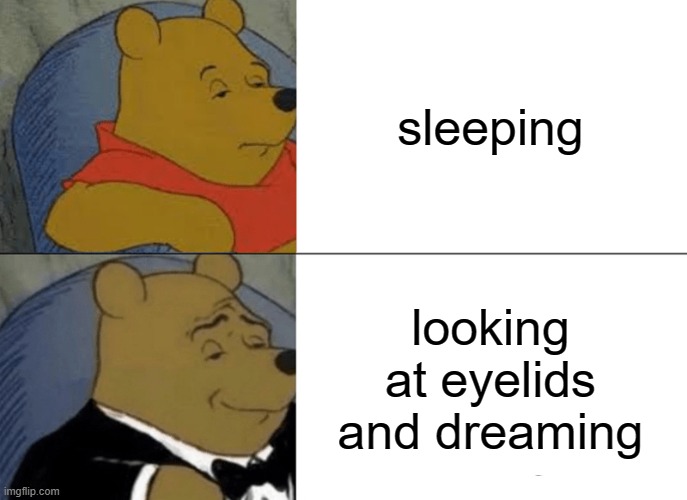 sleep | sleeping; looking at eyelids and dreaming | image tagged in memes,tuxedo winnie the pooh | made w/ Imgflip meme maker