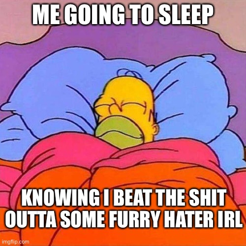 Anger issues 101, and how not to stop them | ME GOING TO SLEEP; KNOWING I BEAT THE SHIT OUTTA SOME FURRY HATER IRL | image tagged in homer napping,furry memes,furry,the furry fandom,anti furry | made w/ Imgflip meme maker