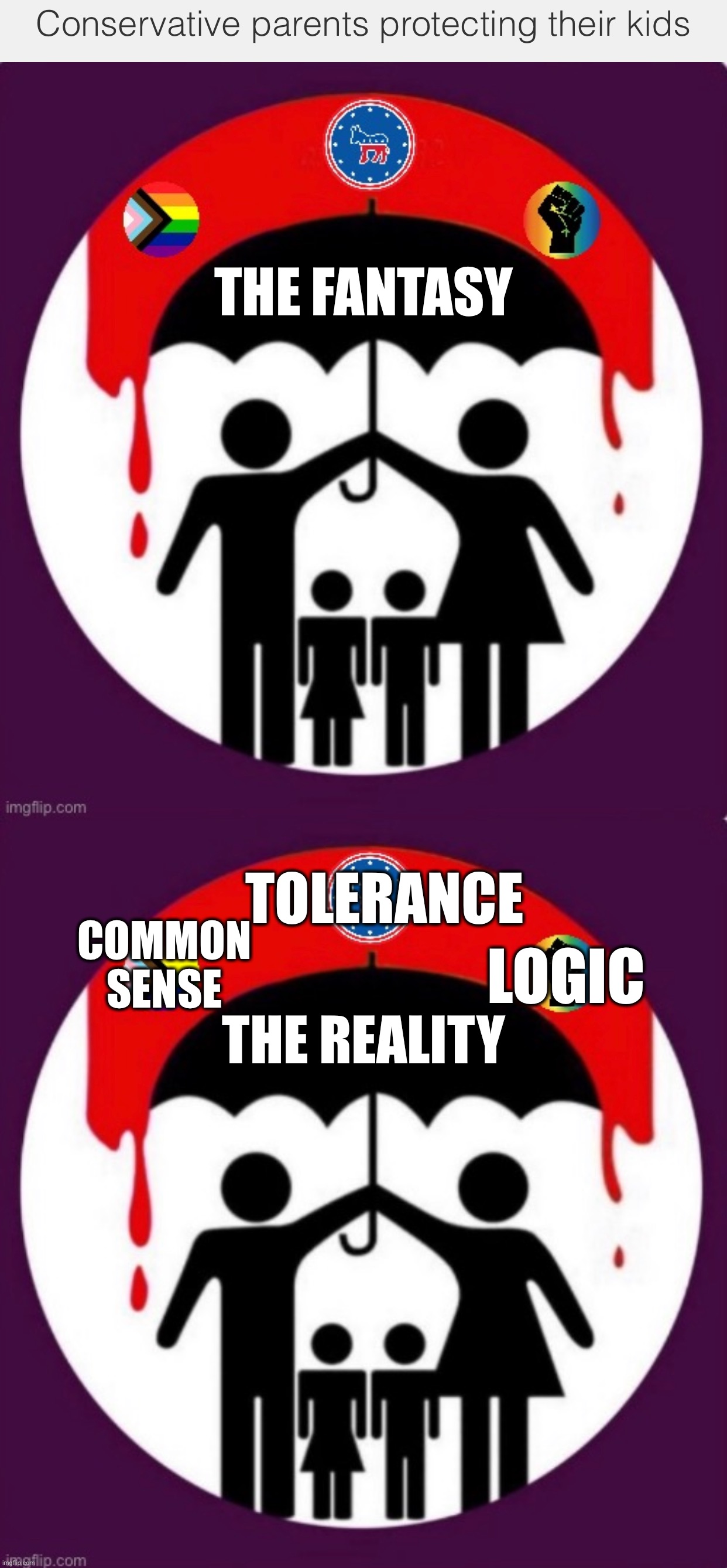 THE FANTASY; TOLERANCE; COMMON SENSE; LOGIC; THE REALITY | made w/ Imgflip meme maker