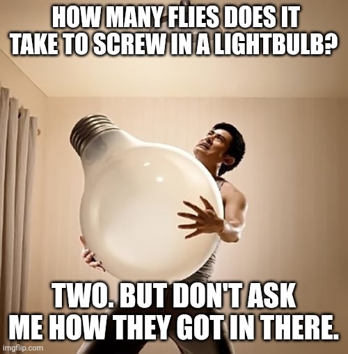 Screw in a lightbulb | HOW MANY FLIES DOES IT TAKE TO SCREW IN A LIGHTBULB? TWO. BUT DON'T ASK ME HOW THEY GOT IN THERE. | image tagged in lightbulb | made w/ Imgflip meme maker