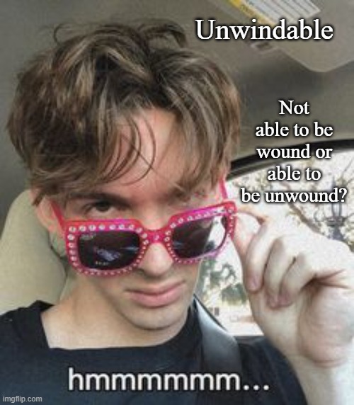 Unwindable | Not able to be wound or able to be unwound? Unwindable | image tagged in flamingo hmmm,memes | made w/ Imgflip meme maker