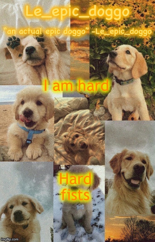 Doggo temp by doggo. Wait what that’s confusing | I am hard; Hard fists | image tagged in doggo temp by doggo wait what that s confusing | made w/ Imgflip meme maker